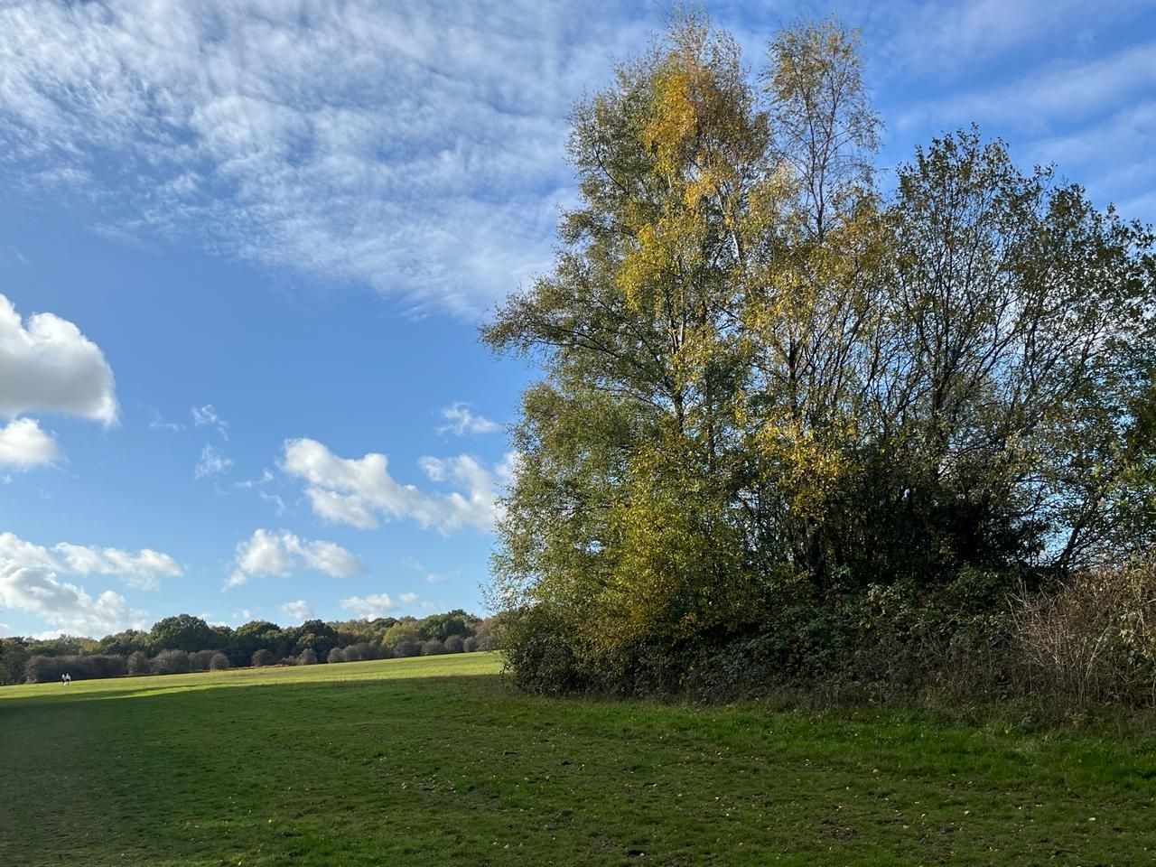 On the way to the Sportsman pub